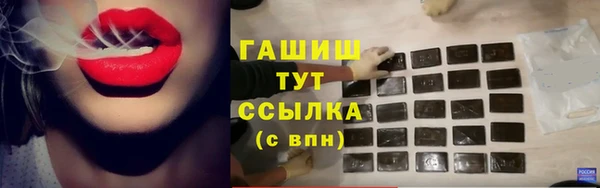 прущий лед Алзамай