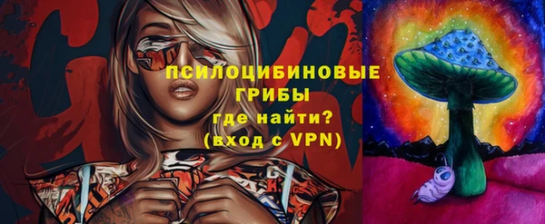 прущий лед Алзамай