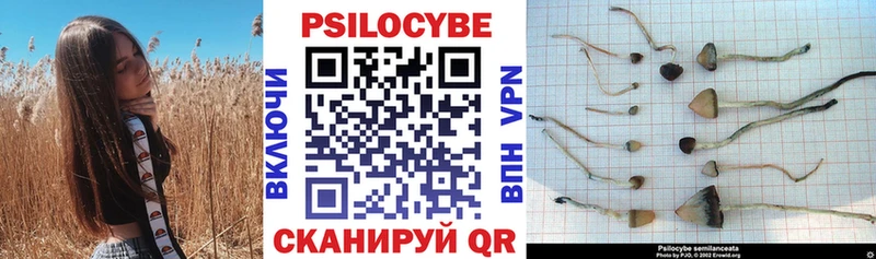 Галлюциногенные грибы Magic Shrooms Киржач