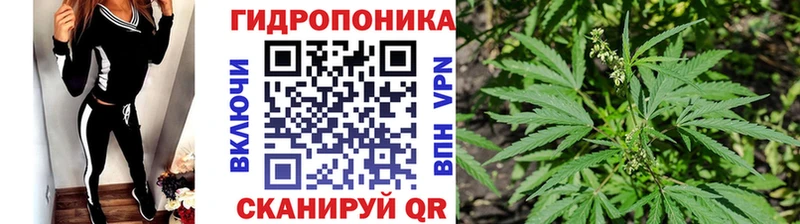 где купить   Киржач  Конопля гибрид 
